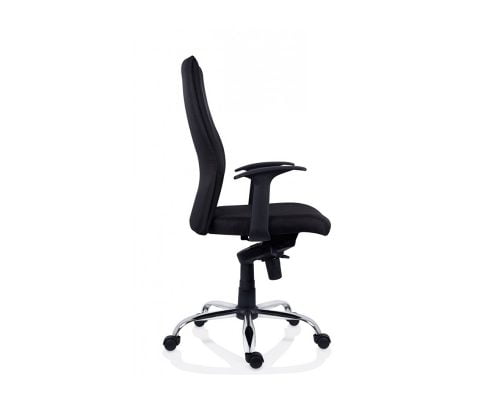 Scaun Ergonomic Texas, Collection 1