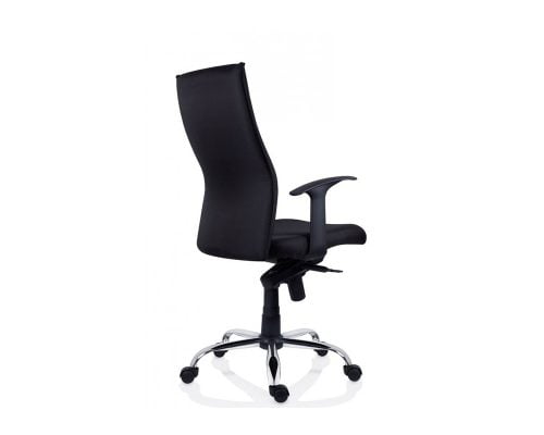 Scaun Ergonomic Texas, Collection 1 2