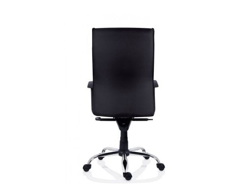 Scaun Ergonomic Texas, Collection 1 3