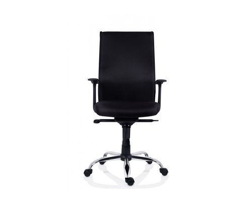 Scaun Ergonomic Texas, Collection 14