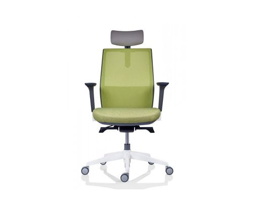 Scaun Ergonomic Tesla Mesh PDH, Collection, verde 4