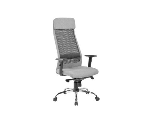 Scaun Ergonomic Passat, Express, gri