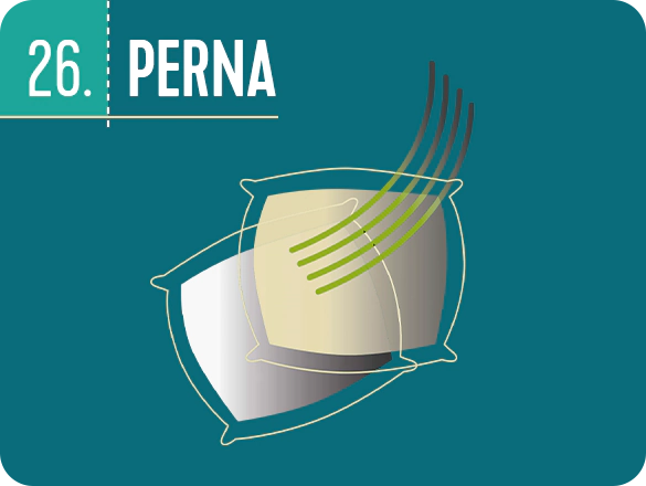 Perna – 100 de secrete pentru un somn de vis