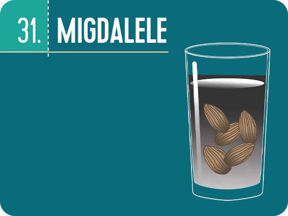 Migdalele – 100 de secrete pentru un somn de vis