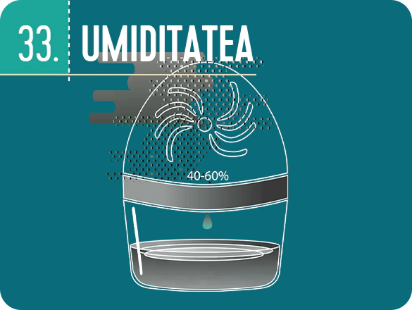 Umiditatea – 100 de secrete pentru un somn de vis