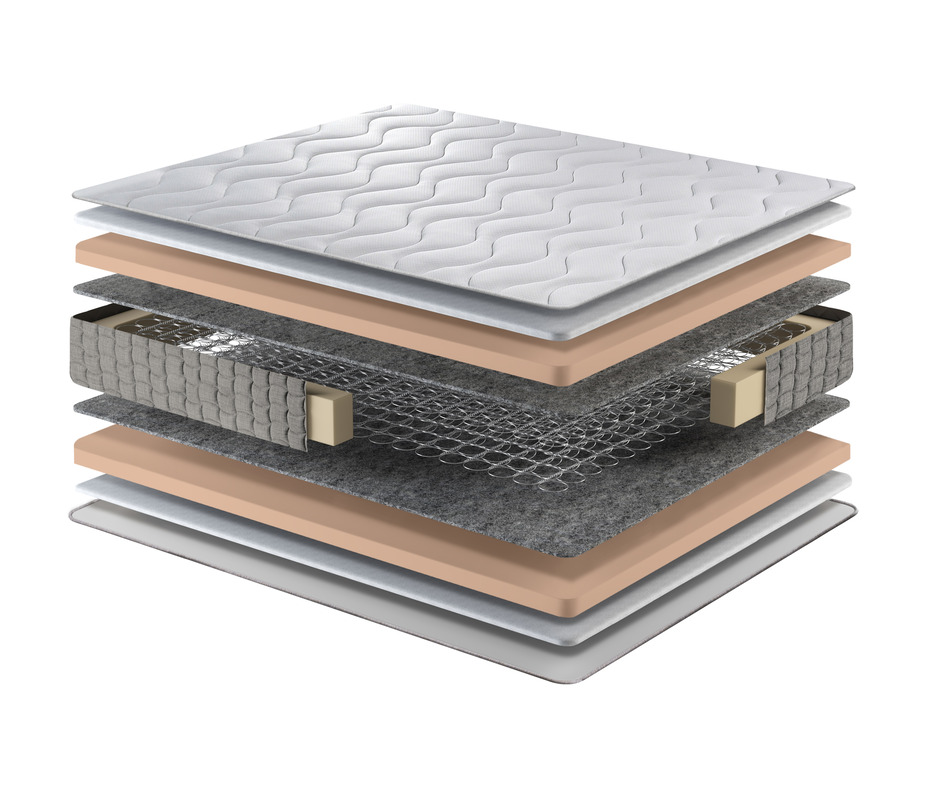 Aligna - structura copy 2